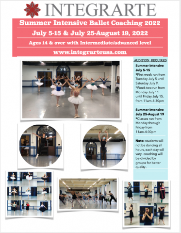 Summer Intensive Ballet Coaching